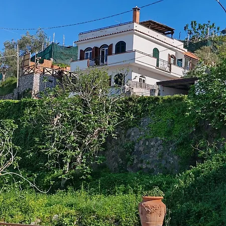 Mediterranea E Casa Del Capricorno Charming Apartment
